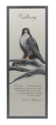 Сейф оружейный Valberg Сапсан-4.EL Print
